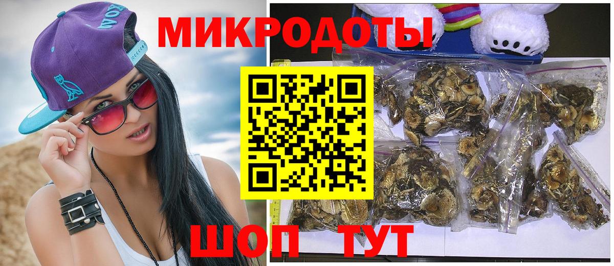 Псилоцибиновые грибы прущие грибы Ковров