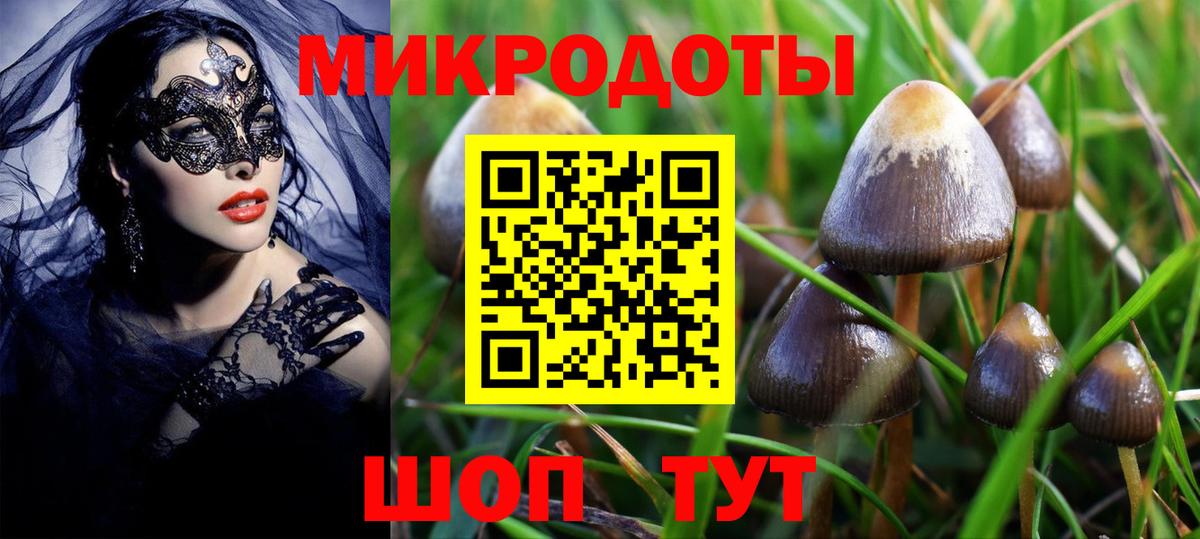Псилоцибиновые грибы Psilocybe  Вход с VPN  Ковров 